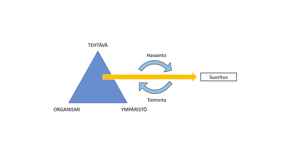 Kuva 23: Constraints-Led Approach. Suoritukset muodostuvat havainnoinnin ja toiminnan kautta organismin sopeutuessa rajoitteisiin.